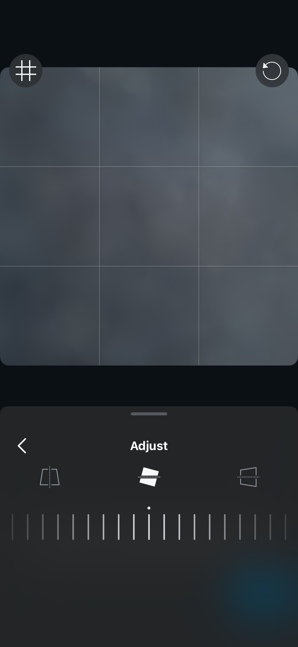 A mobile photo editing screen showing a crop/grid overlay on the image preview and an Adjust bottom sheet with perspective adjustment controls and a slider.