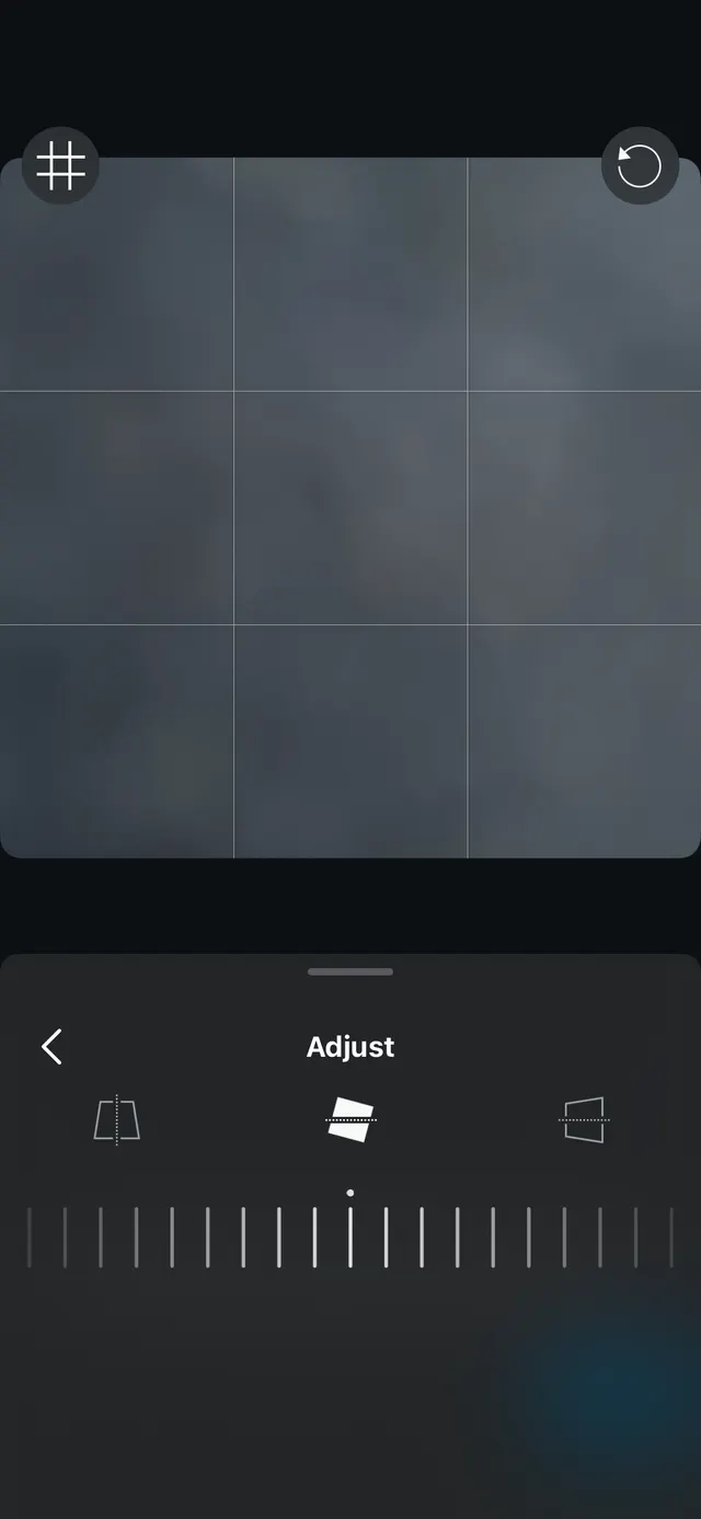 A mobile photo editing screen showing a crop/grid overlay on the image preview and an Adjust bottom sheet with perspective adjustment controls and a slider.