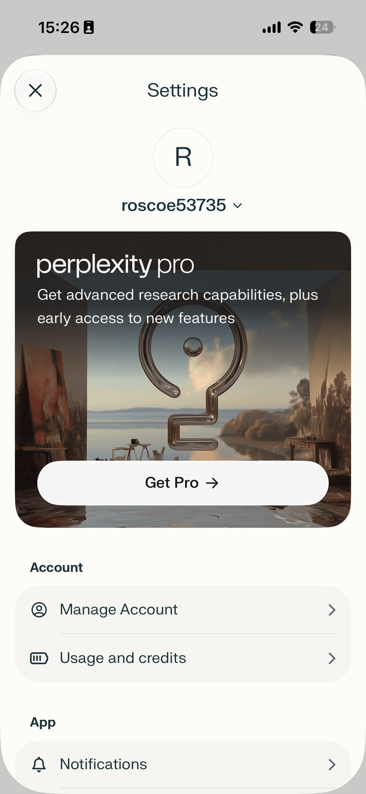 An iOS settings screen for a user account, showing a Perplexity Pro promotional card with a Get Pro button, account options like Manage Account and Usage and credits, and app settings such as Notifications.