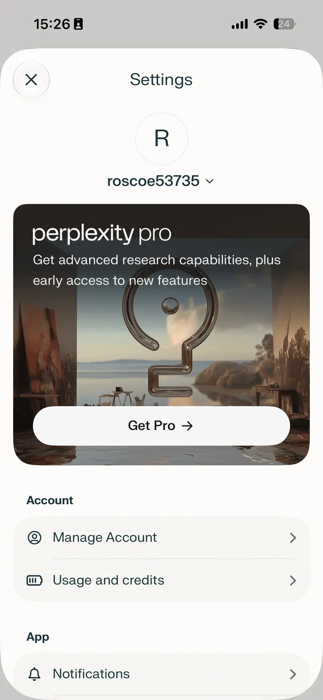 An iOS settings screen for a user account, showing a Perplexity Pro promotional card with a Get Pro button, account options like Manage Account and Usage and credits, and app settings such as Notifications.